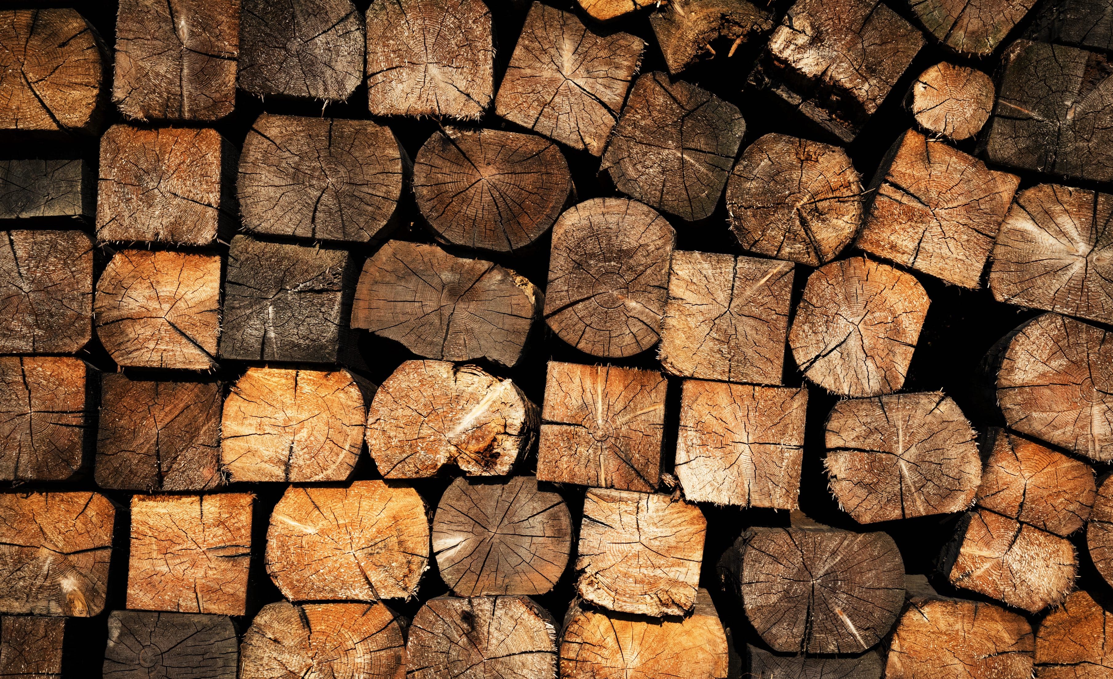 Cut ends of stacked wooden logs